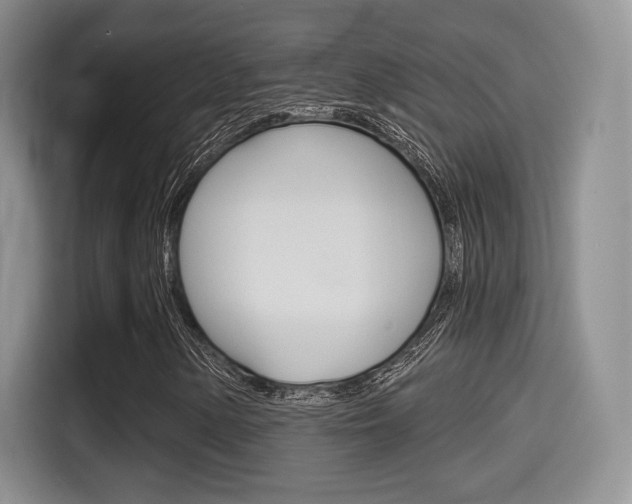 X0000114491154200910191111