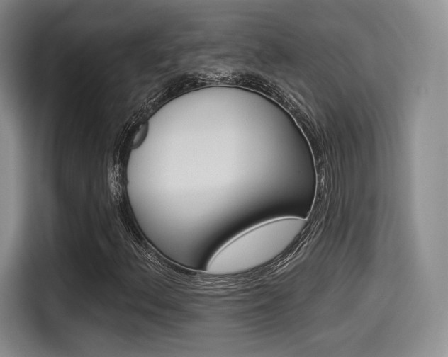 X0000114491156200910191111