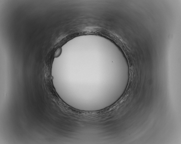 X0000114491158200910191111