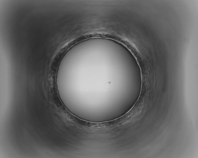 X0000114491159200910191111