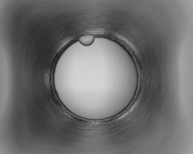 X0000114491162200910191111