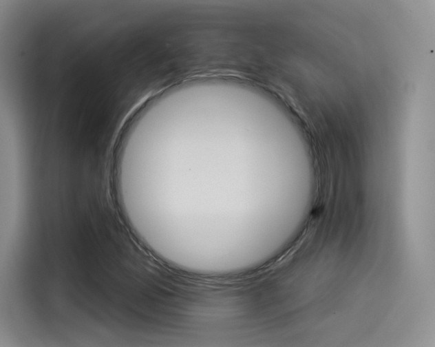 X0000114491165200910191111