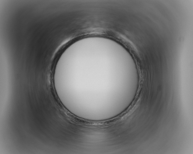 X0000114491166200910191111