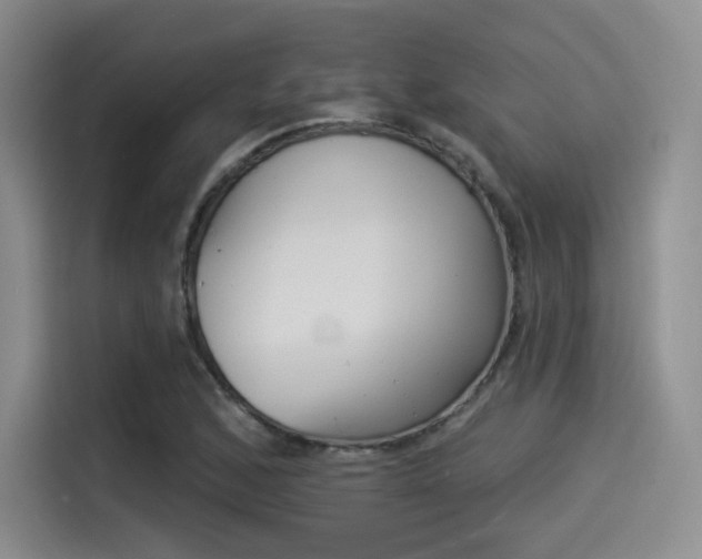 X0000114491168200910191111