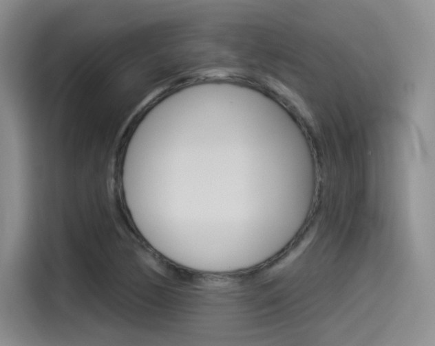 X0000114491170200910191111