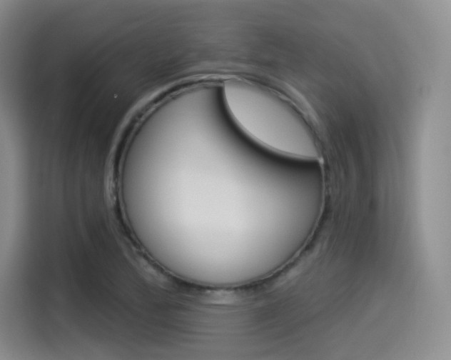 X0000114491172200910191110