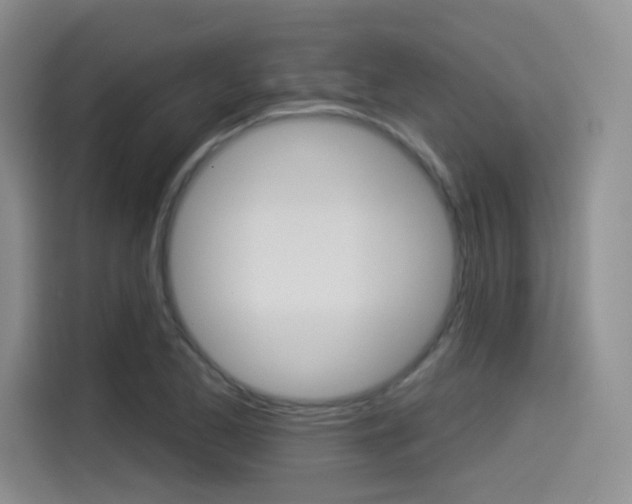 X0000114491173200910191110