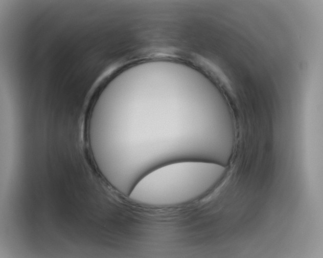X0000114491174200910191110
