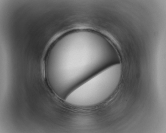 X0000114491175200910191110