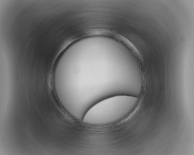 X0000114491178200910191110