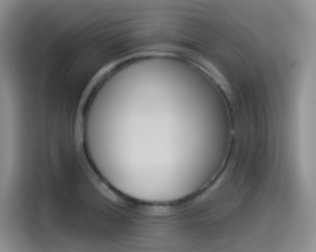 X0000114491180200910191110