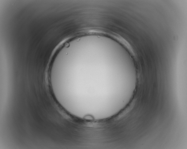 X0000114491182200910191110