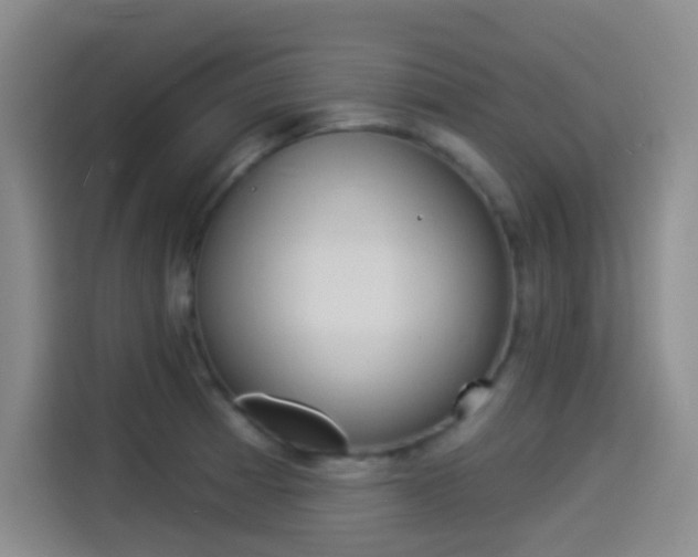 X0000114491185200910191110