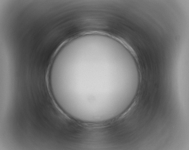 X0000114491189200910191110