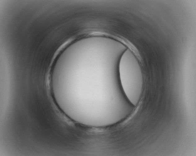 X0000114491190200910191110