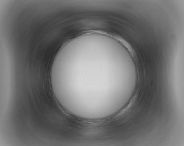 X0000114491193200910191110