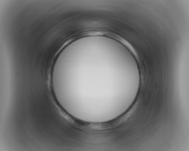 X0000114491194200910191110