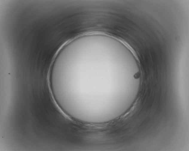 X0000114491197200910191110