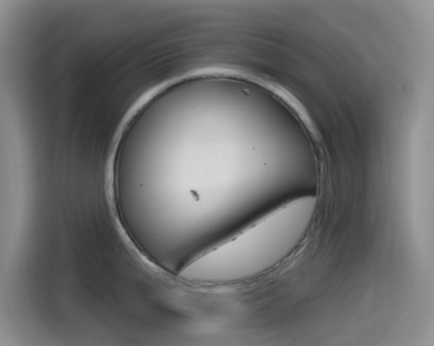 X0000114491199200910191110