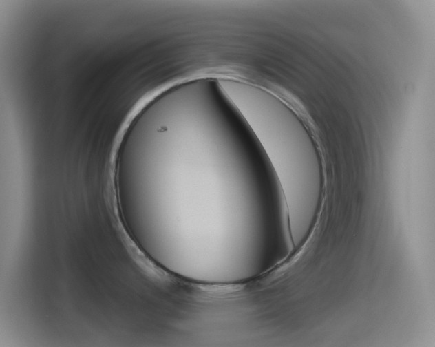X0000114491200200910191110