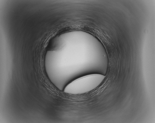 X0000114491201200910191109