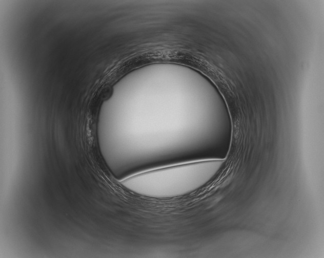 X0000114491202200910191110