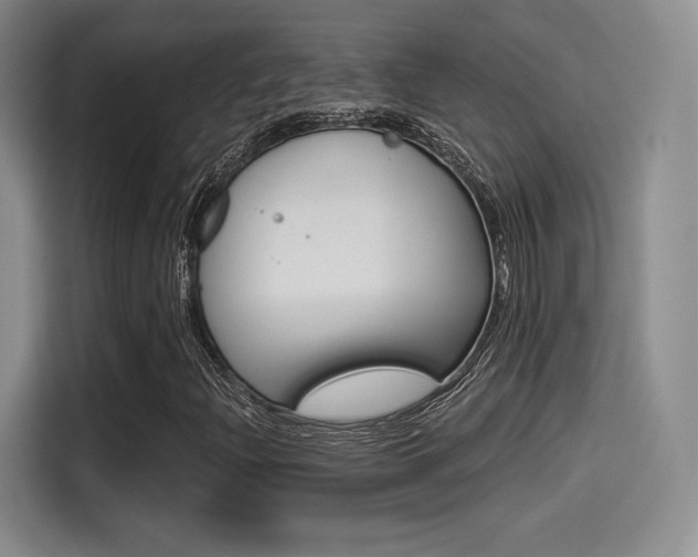 X0000114491204200910191110