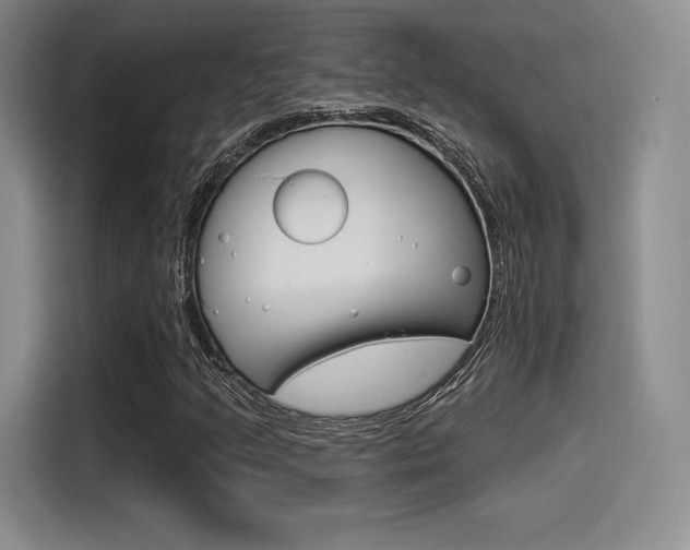 X0000114491205200910191110