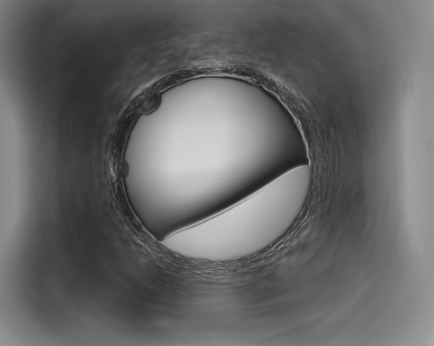 X0000114491206200910191110