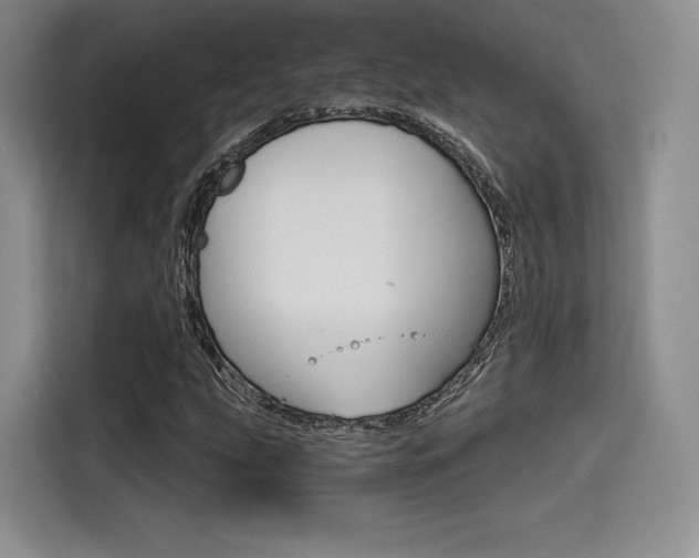 X0000114491207200910191110