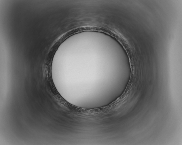 X0000114491208200910191110