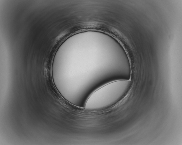 X0000114491210200910191110