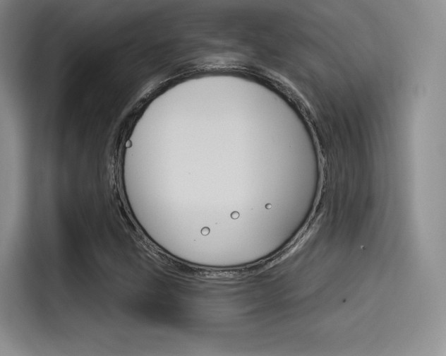 X0000114491211200910191110