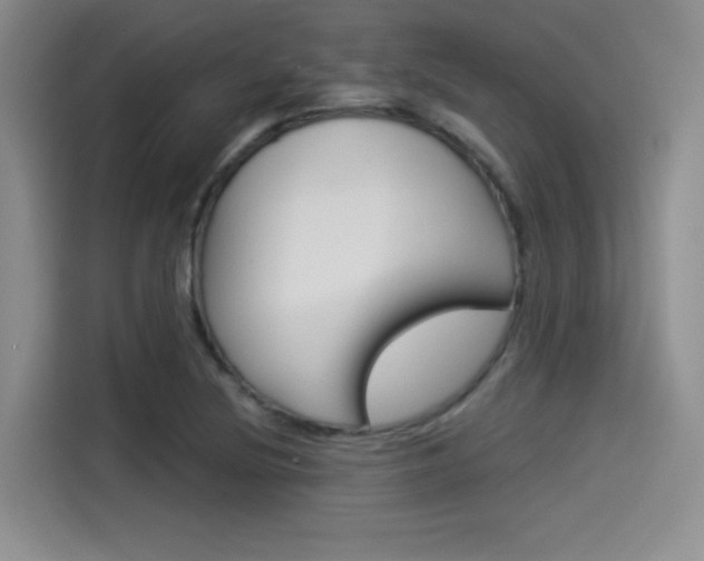 X0000114491220200910191110
