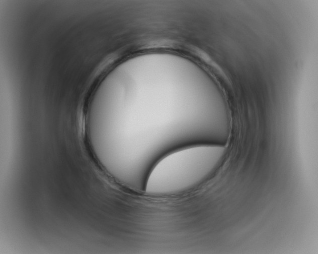 X0000114491221200910191110