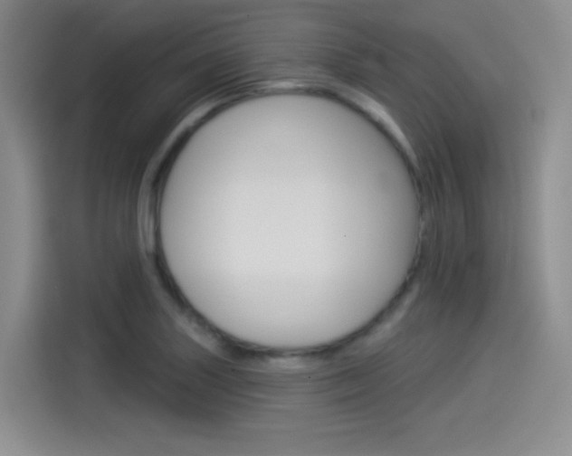 X0000114491227200910191110