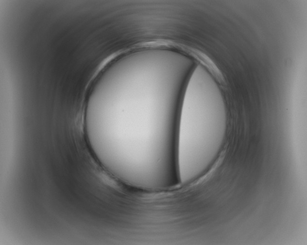 X0000114491228200910191110