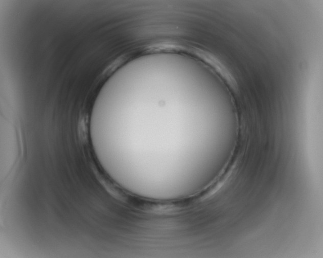 X0000114491233200910191110