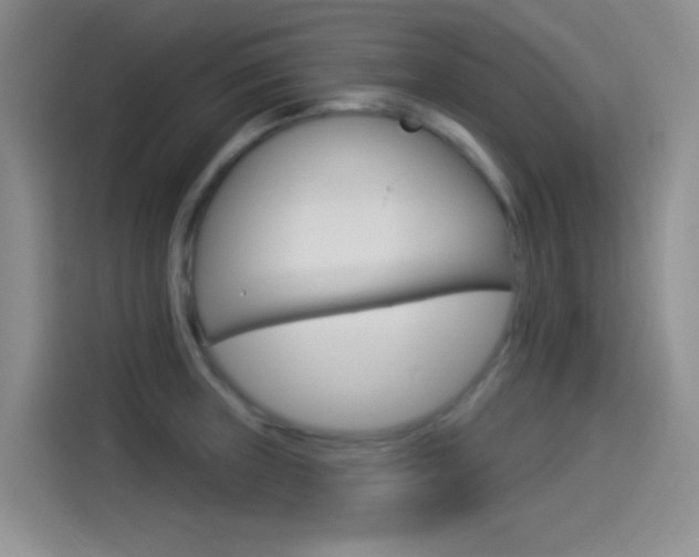 X0000114491235200910191110