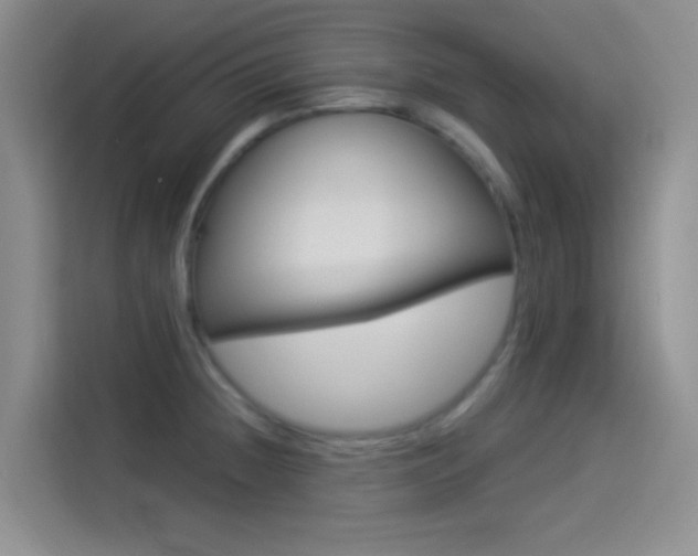 X0000114491236200910191110