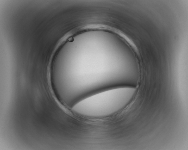 X0000114491237200910191110