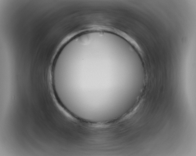 X0000114491239200910191110