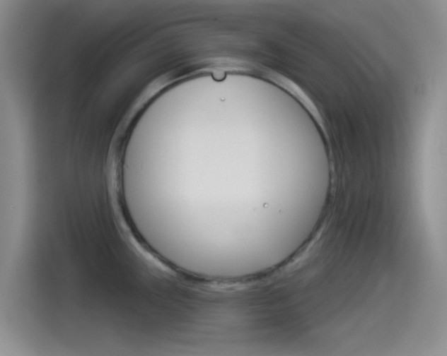 X0000114491243200910191110