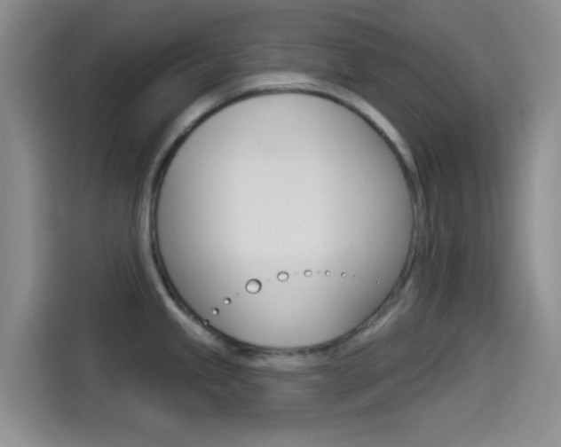 X0000114491245200910191110