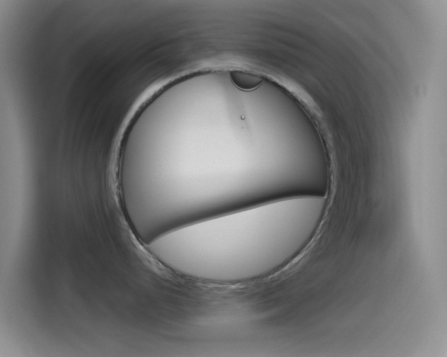X0000114491248200910191110