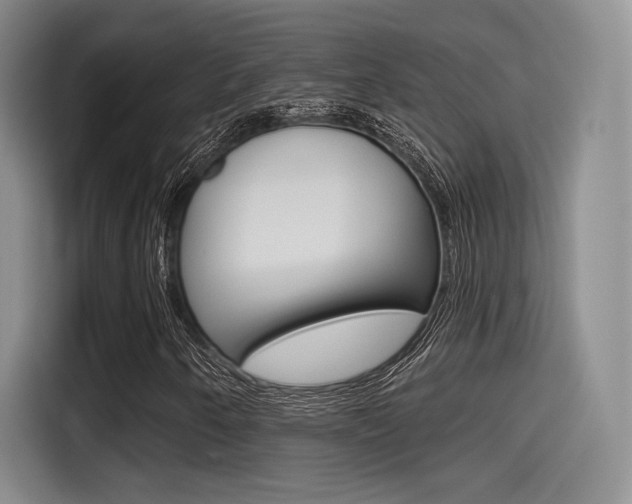 X0000114491250200910191109