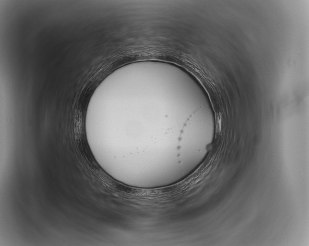 X0000114491251200910191109