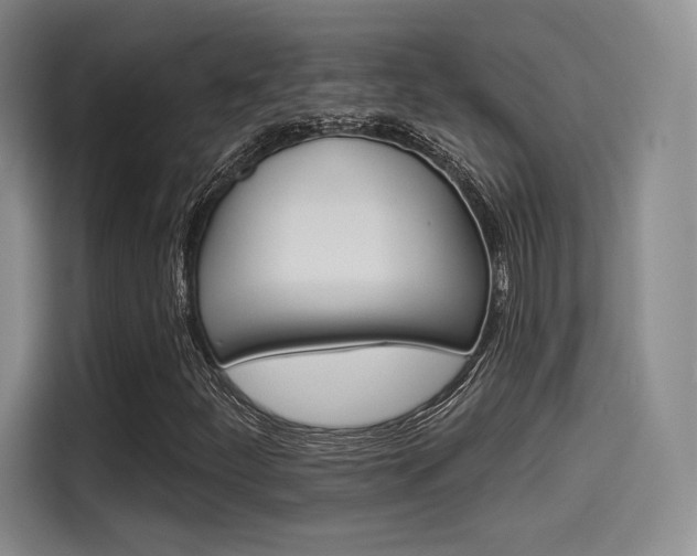 X0000114491252200910191109