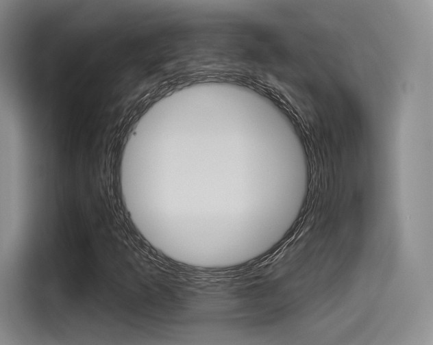 X0000114491253200910191109