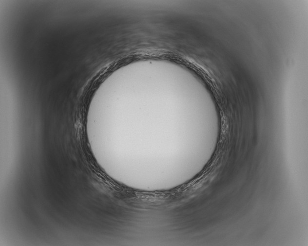 X0000114491254200910191109